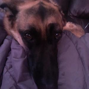 Meet your Posher, Denise